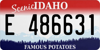 ID license plate E486631