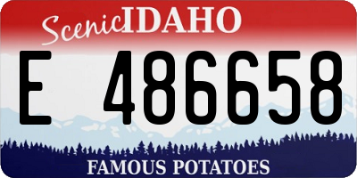 ID license plate E486658