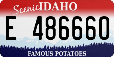 ID license plate E486660