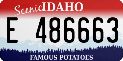 ID license plate E486663