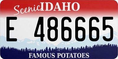 ID license plate E486665