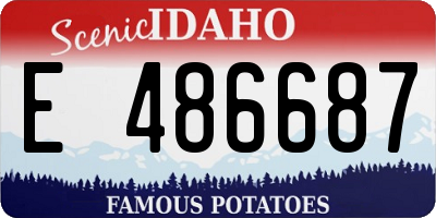 ID license plate E486687