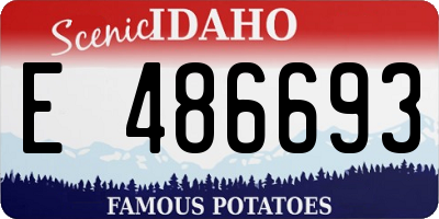 ID license plate E486693