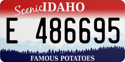 ID license plate E486695
