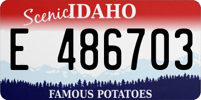 ID license plate E486703