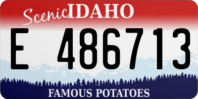 ID license plate E486713