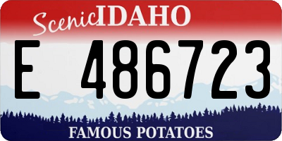ID license plate E486723