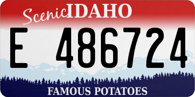 ID license plate E486724