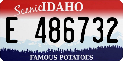 ID license plate E486732