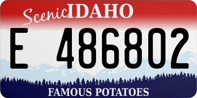 ID license plate E486802