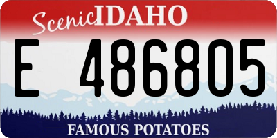ID license plate E486805