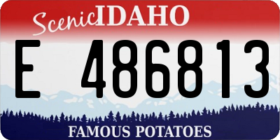 ID license plate E486813