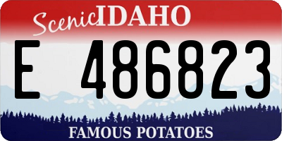 ID license plate E486823