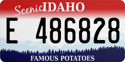 ID license plate E486828