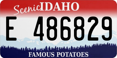 ID license plate E486829