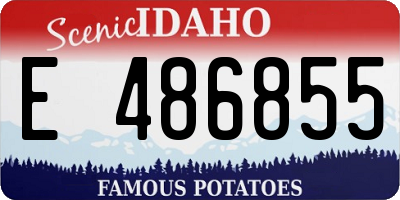 ID license plate E486855