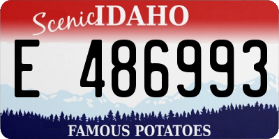 ID license plate E486993