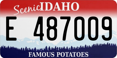 ID license plate E487009