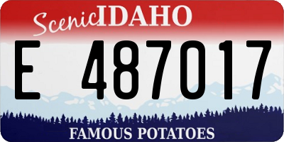 ID license plate E487017