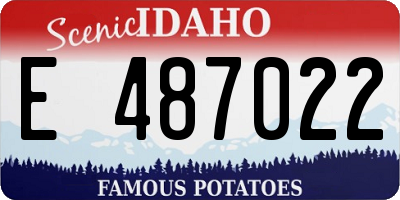 ID license plate E487022
