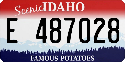 ID license plate E487028