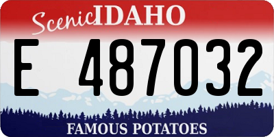 ID license plate E487032