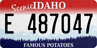 ID license plate E487047