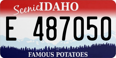 ID license plate E487050