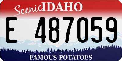 ID license plate E487059