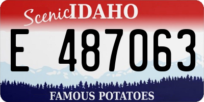 ID license plate E487063