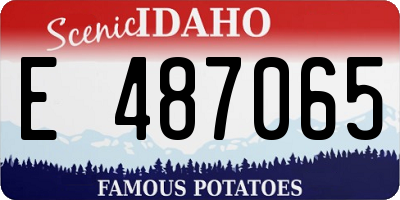 ID license plate E487065