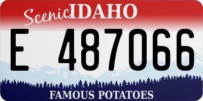 ID license plate E487066