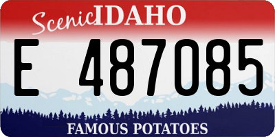 ID license plate E487085