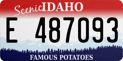 ID license plate E487093