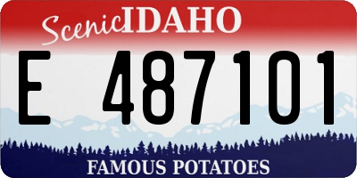 ID license plate E487101