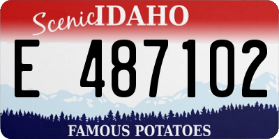 ID license plate E487102