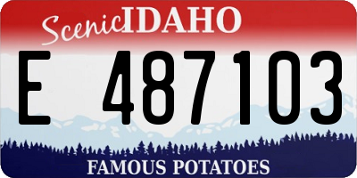 ID license plate E487103