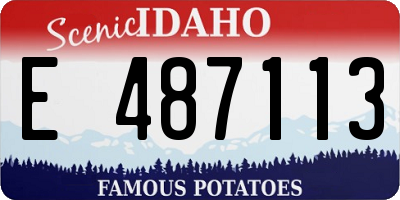 ID license plate E487113