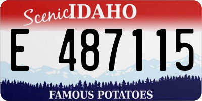 ID license plate E487115