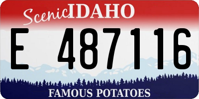 ID license plate E487116