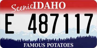 ID license plate E487117