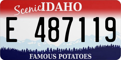 ID license plate E487119