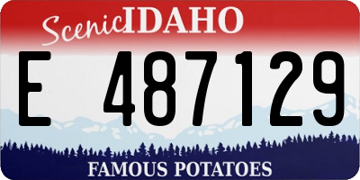 ID license plate E487129