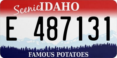 ID license plate E487131