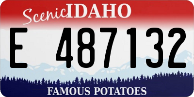 ID license plate E487132