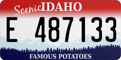 ID license plate E487133