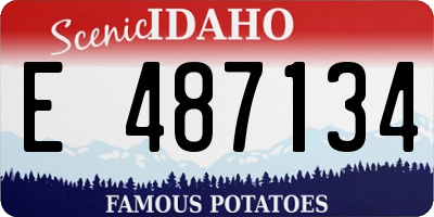 ID license plate E487134