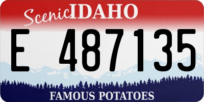 ID license plate E487135