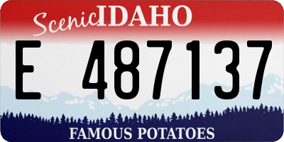 ID license plate E487137