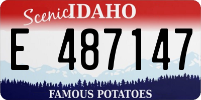 ID license plate E487147